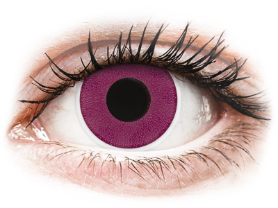 ColourVUE Crazy Lens - Purple - plano (2 lenses) - Coloured contact lenses