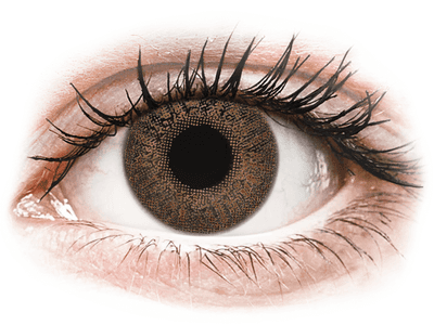 TopVue Color - Brown - power (2 lenses) - Coloured contact lenses