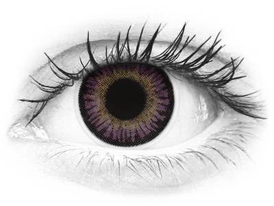 ColourVUE 3 Tones Violet - plano (2 lenses)