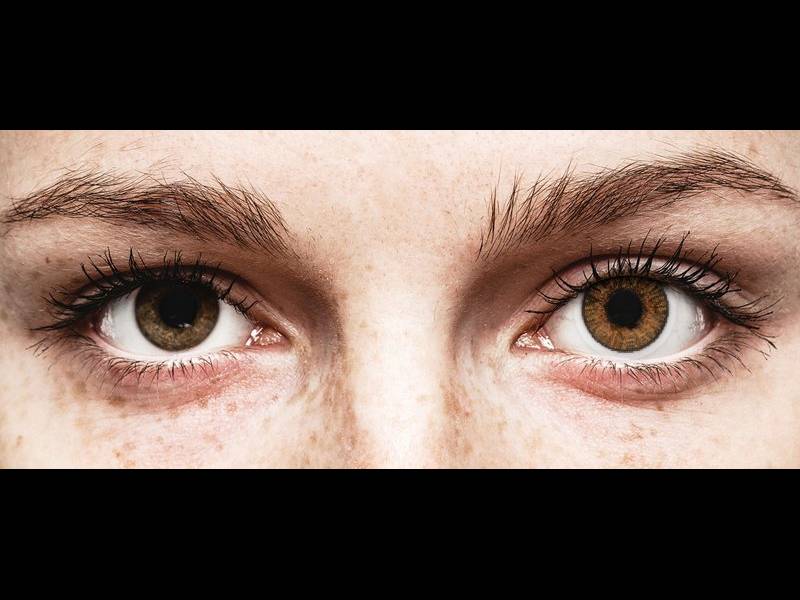 FreshLook ColorBlends Honey - power (2 lenses)