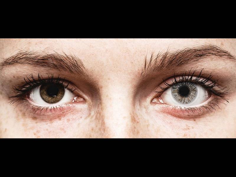 FreshLook Colors Misty Gray - power (2 lenses)
