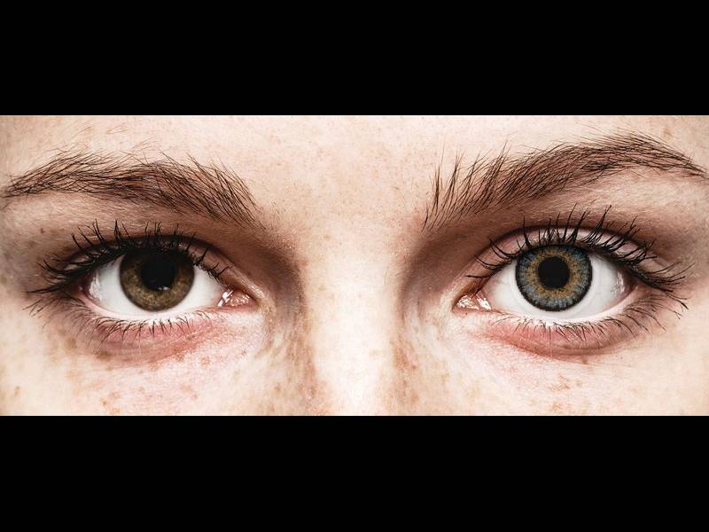 FreshLook One Day Color Blue - plano (10 lenses)
