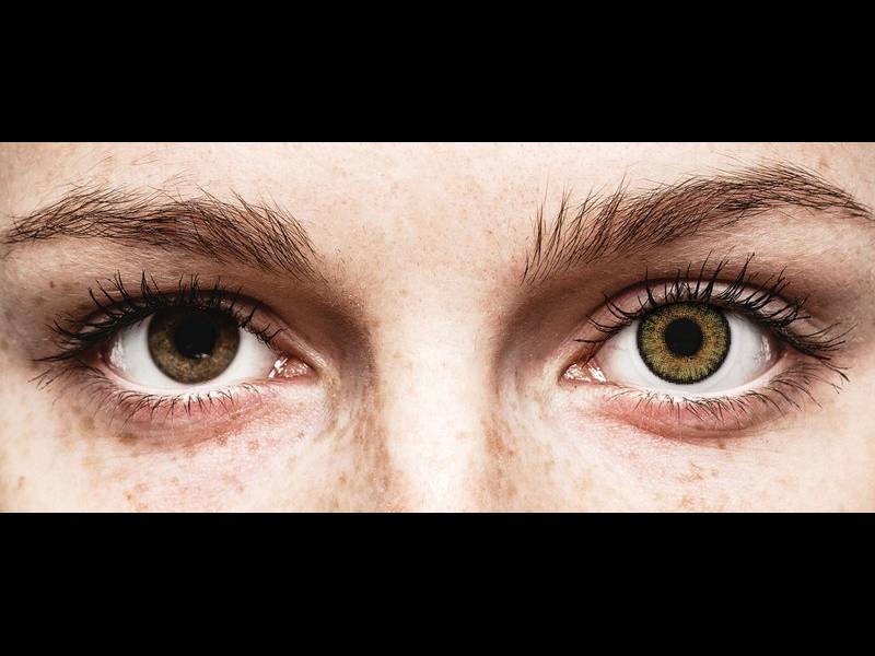 FreshLook One Day Color Pure Hazel - power (10 lenses)