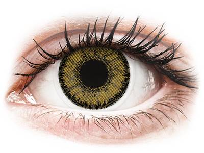 SofLens Natural Colors Dark Hazel - plano (2 lenses)