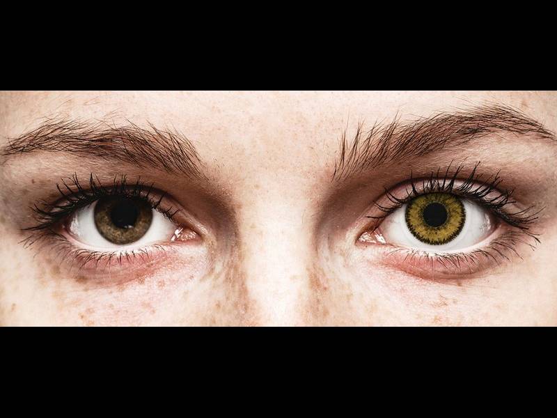 SofLens Natural Colors Dark Hazel - plano (2 lenses)