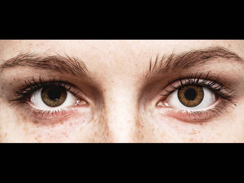 ColourVue One Day TruBlends Hazel - power (10 lenses)