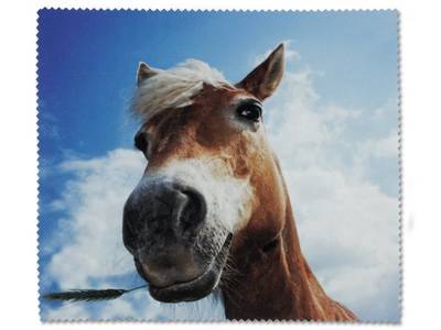 Glasses cleaning cloth - Horse