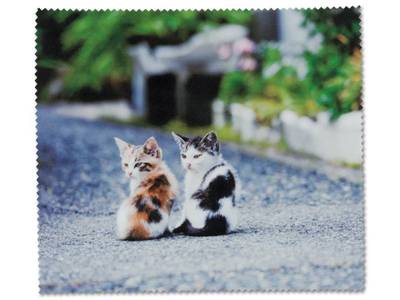 Glasses cleaning cloth - kittens