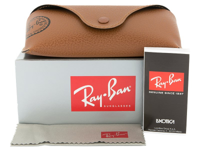 Ray-Ban Justin RB4165 - 865/T5 POL  - Preview pack (illustration photo)