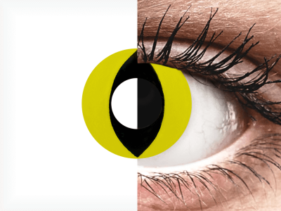 CRAZY LENS - Cat Eye Yellow - daily plano (2 lenses)