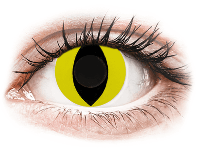 CRAZY LENS - Cat Eye Yellow - daily plano (2 lenses)