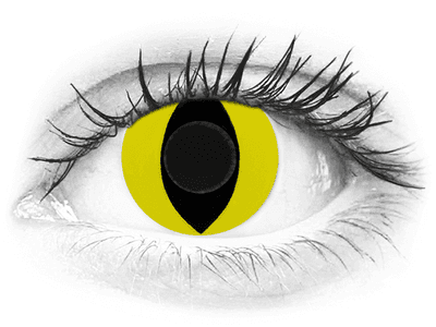 CRAZY LENS - Cat Eye Yellow - daily plano (2 lenses)