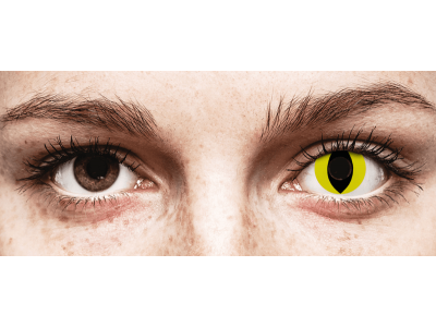 CRAZY LENS - Cat Eye Yellow - daily plano (2 lenses)