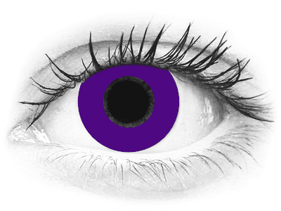 CRAZY LENS - Solid Violet - daily plano (2 lenses)