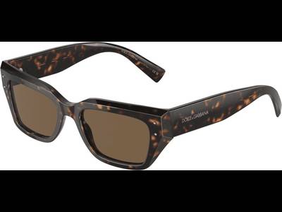 Dolce & Gabbana DG4462 502/73 